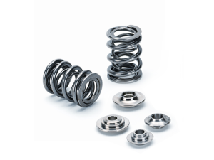 22-4439576871002-dual-spring-kits